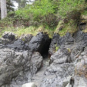 Picture 251
